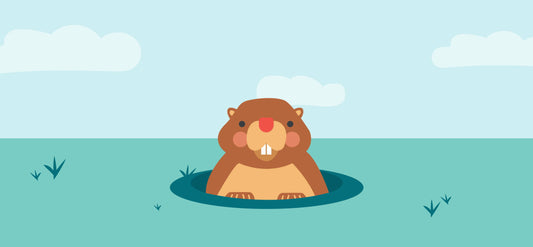 What does Punxsutawney Phil's prediction mean for your sleep? | Leesa